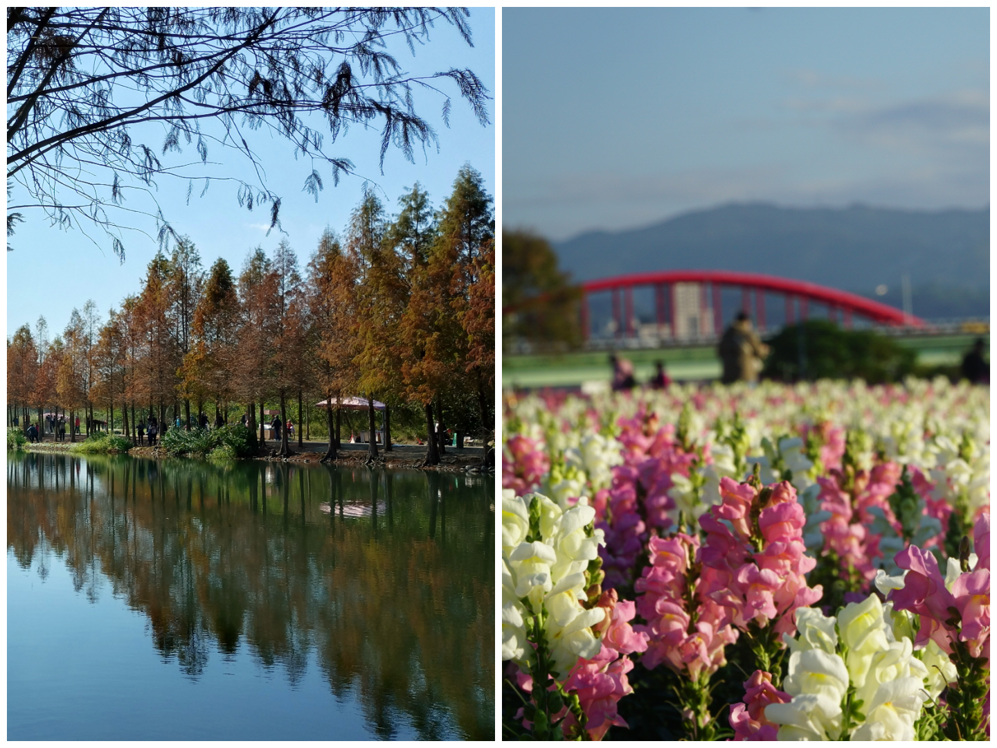 Cycling in Taiwan: Yuemei Wetland Ecological Park 月眉人工濕地生態公園 and Guting Riverside Park&nbsp;台北市古亭河濱公園